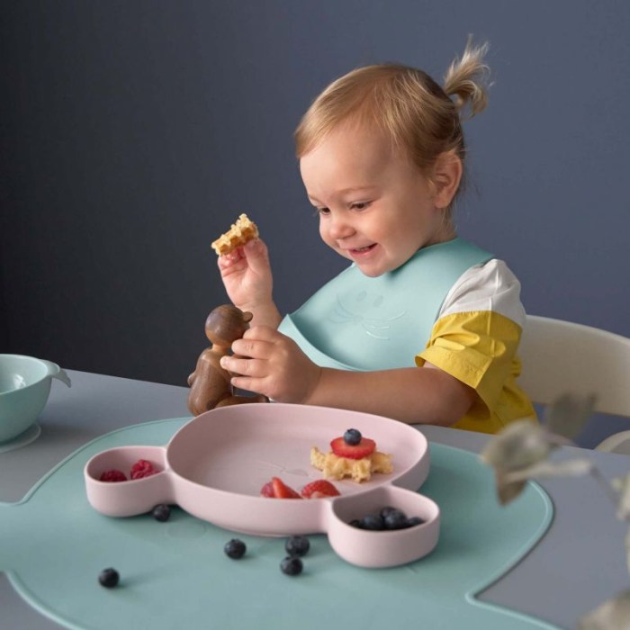 section-plate-silicone-little-chums-mouse-rose