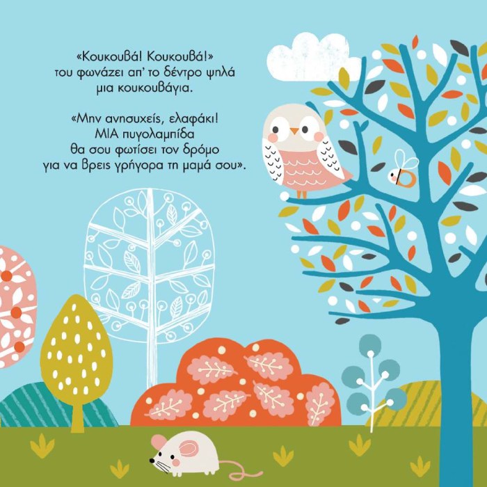 vivlio-me-fotakia-zoa-tou-dasous